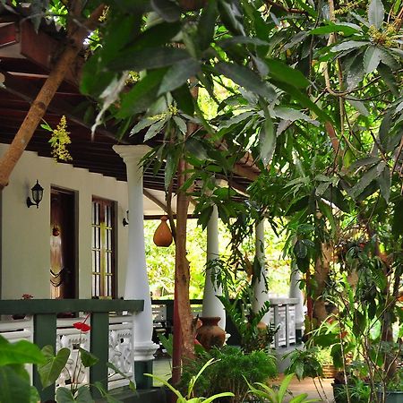 Sigiri Rock Side Home Stay Sigiriya Buitenkant foto