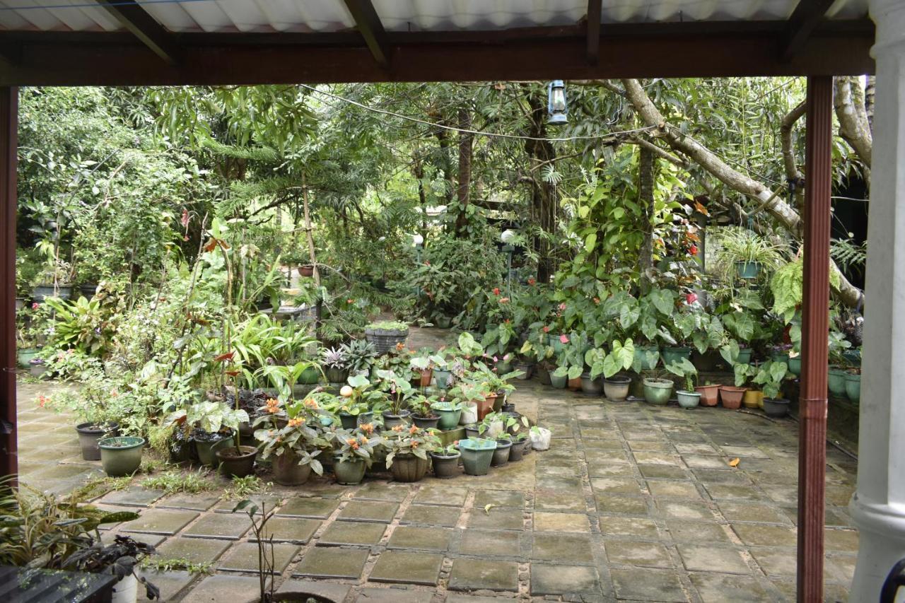 Sigiri Rock Side Home Stay Sigiriya Buitenkant foto