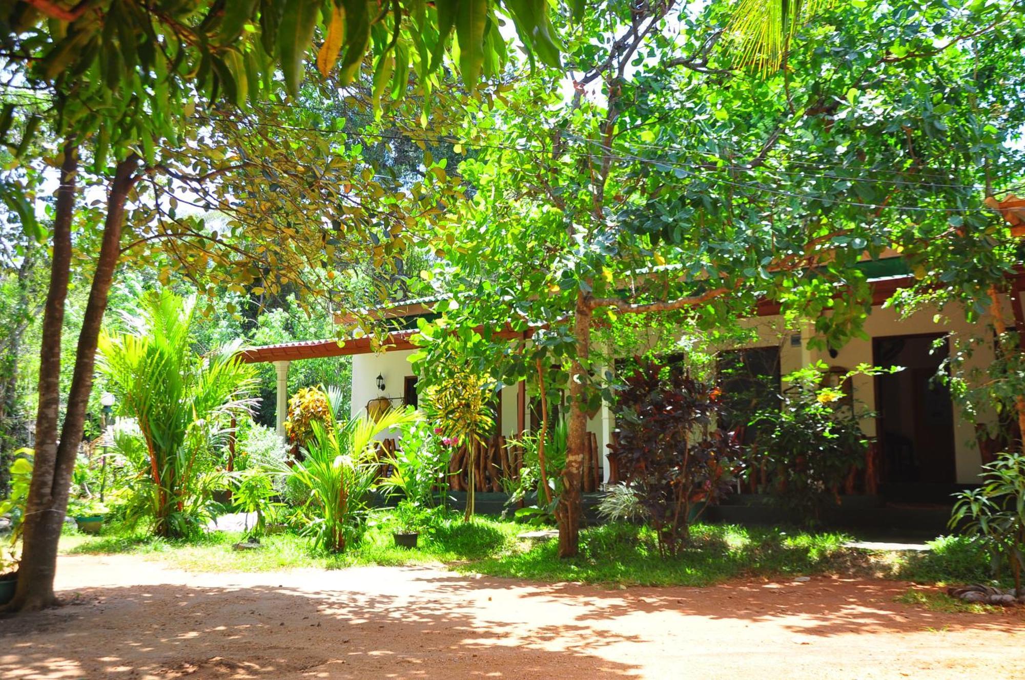 Sigiri Rock Side Home Stay Sigiriya Buitenkant foto