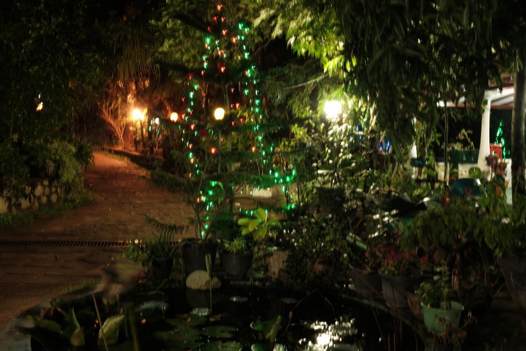 Sigiri Rock Side Home Stay Sigiriya Buitenkant foto