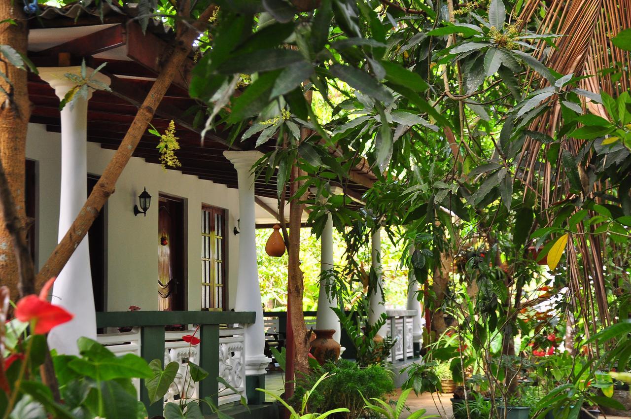 Sigiri Rock Side Home Stay Sigiriya Buitenkant foto