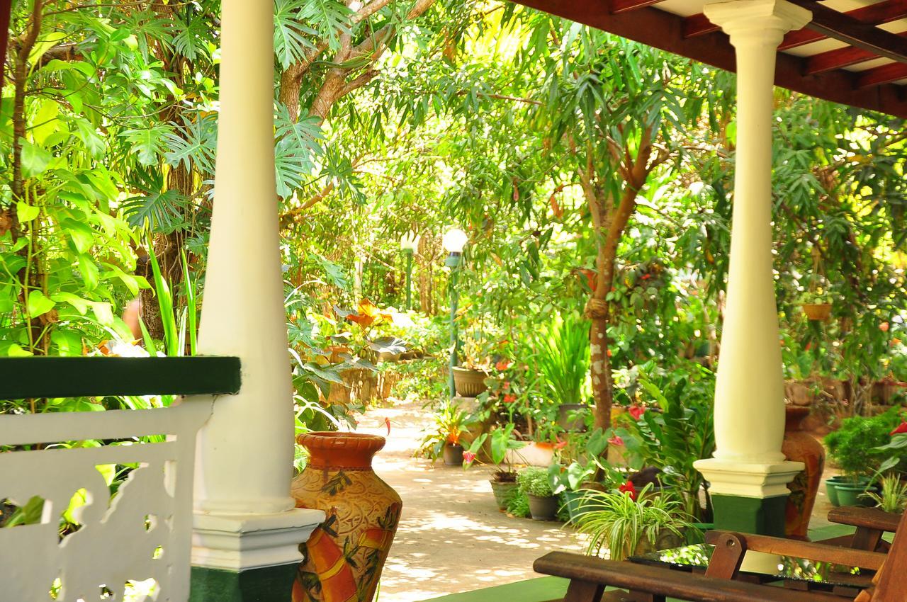 Sigiri Rock Side Home Stay Sigiriya Buitenkant foto