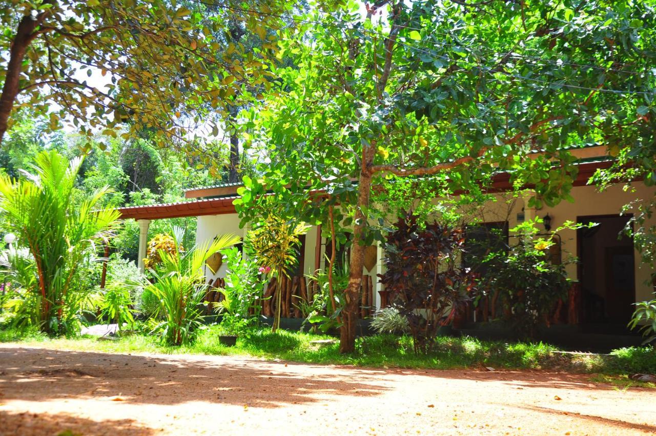 Sigiri Rock Side Home Stay Sigiriya Buitenkant foto