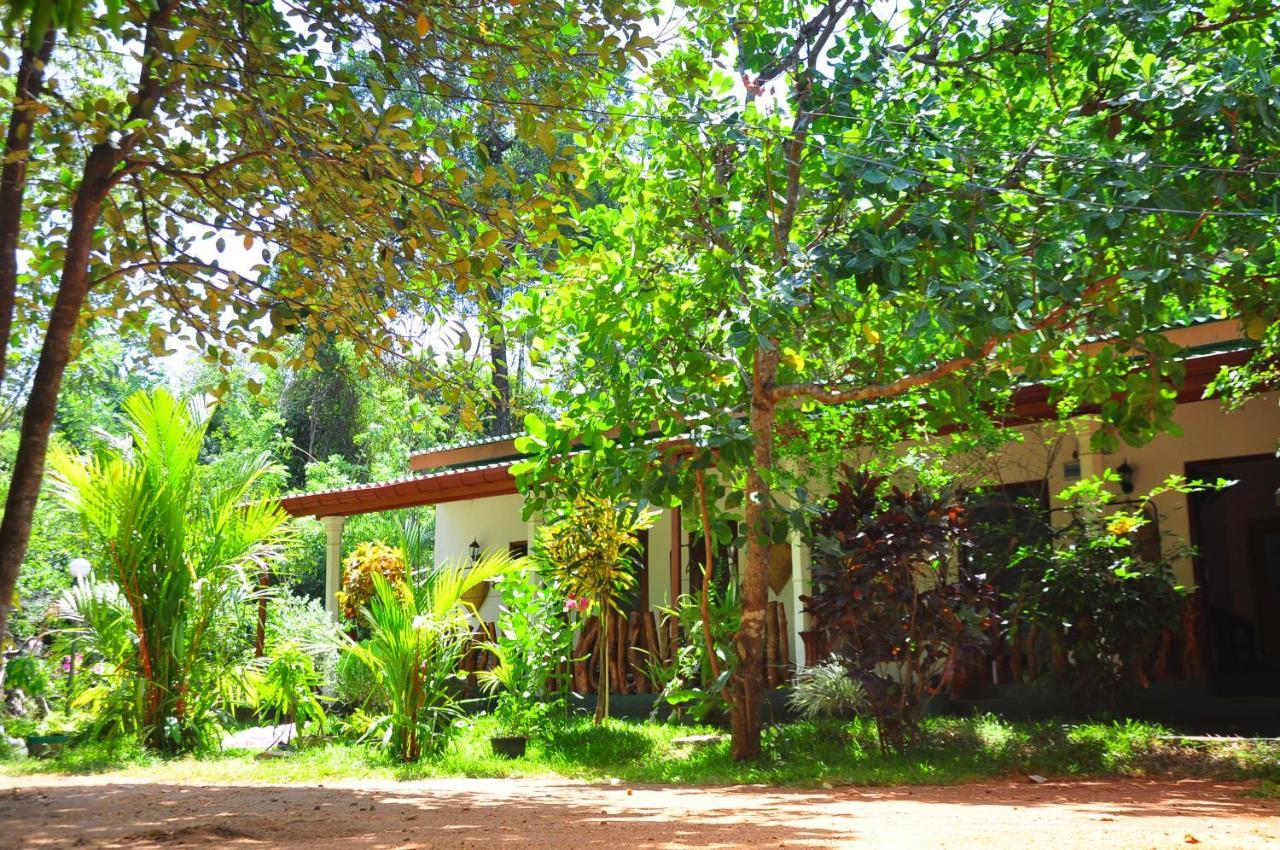 Sigiri Rock Side Home Stay Sigiriya Buitenkant foto